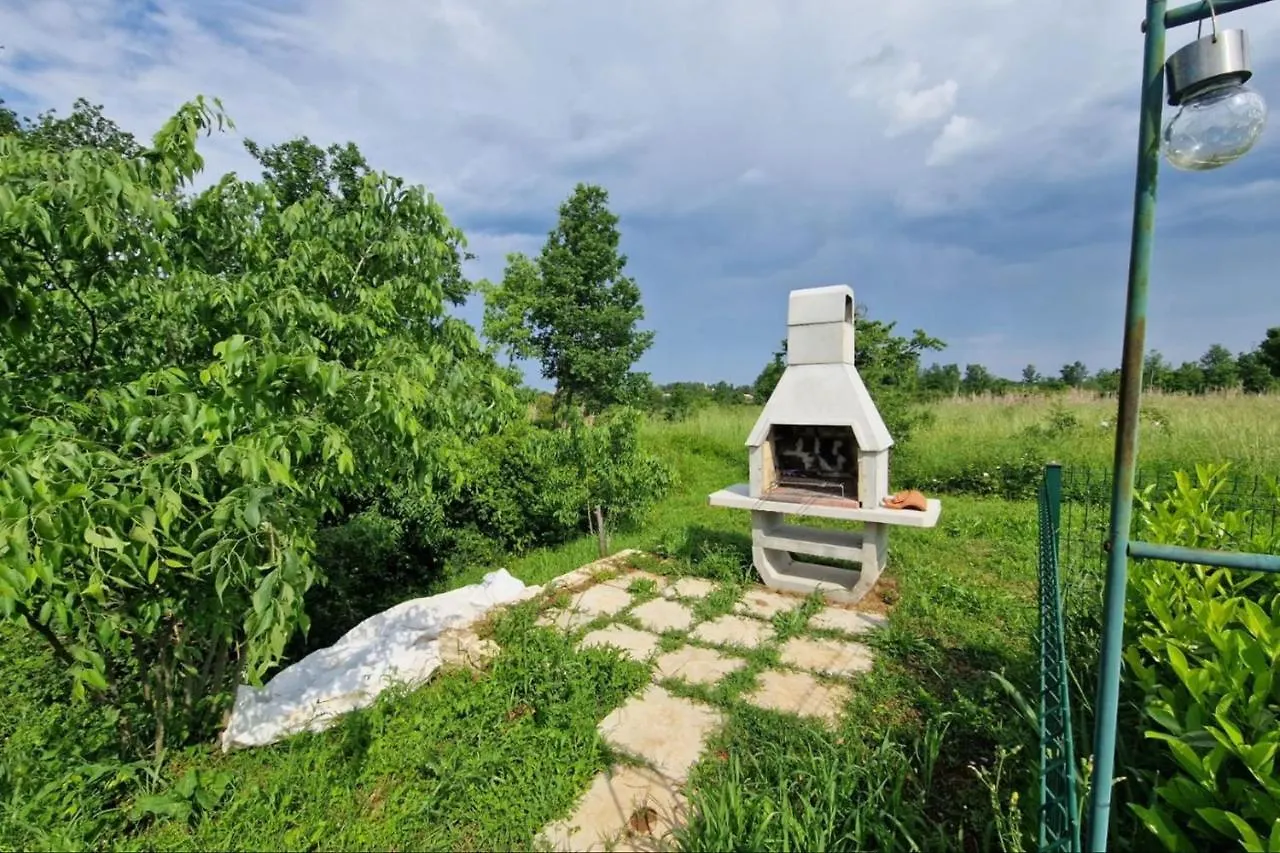 Villas Paliska With Pool For Max 8 Pax In Jasenovica Porec